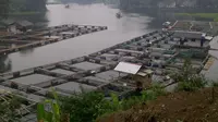 Danau Lido di Bogor yang tercemar timbal. (Liputan6.com/Bima Firmansyah)