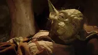 450 Wise Yoda Quotes to Inspire Your Inner Jedi
