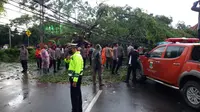 Pohon Tua Dan Berukuran Besar Tumbang Di Pusat Kota Serang, Banten. (Kamis, 16/04/2021).