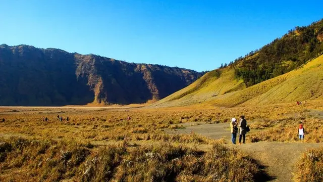 Memanjakan mata menikmati keindahan bukit 'Teletubbies' di Bromo