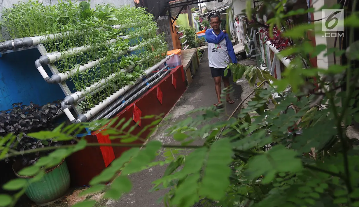 Warga beraktivitas di sekitar Kampung Hidroponik Pengadegan, Jakarta, Kamis (22/2). Jalanan serta gang yang dulunya kumuh, kini berubah menjadi hijau dan asri. (Liputan6.com/Immanuel Antonius)