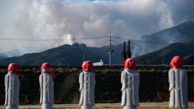 Kebakaran Hutan Hebat Landa Jepang, Ribuan Orang Dievakuasi
