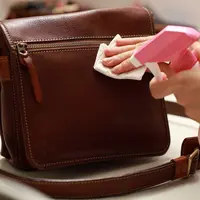 Tips Membersihkan Tas Kulit Agar Tidak Berjamur / copyright shutterstock