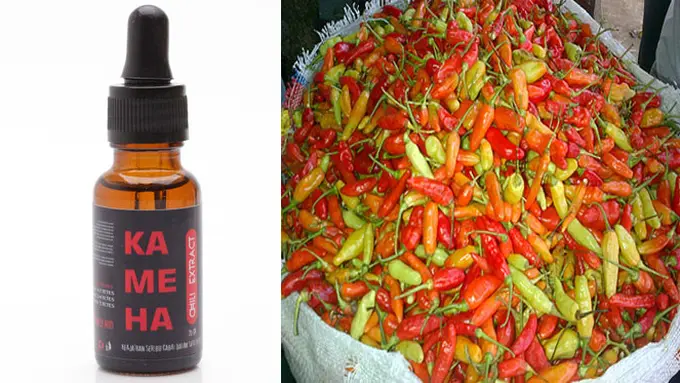 Penyuka Pedas? Cobain Kameha, 1 Tetes = 1000 Cabai! 