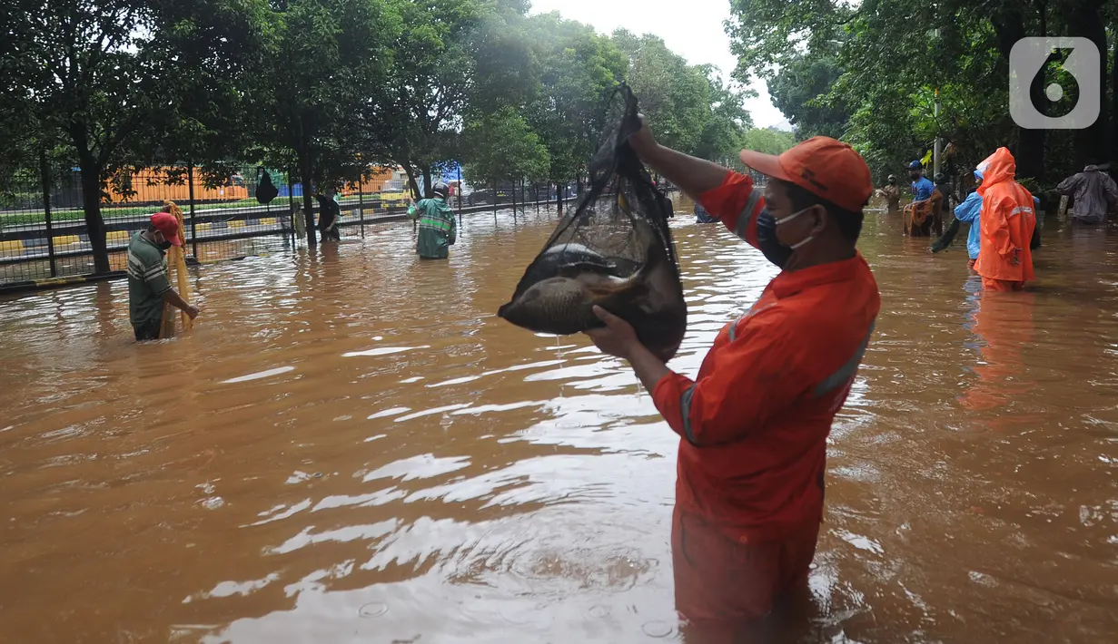 Warga menunjukkan ikan hasil menjala di tengah jalan yang tertutup banjir di kawasan TB Simatupang, Jakarta Selatan, Sabtu (20/2/2021). Banjir terjadi akibat luapan Kali Serua yang berada di pinggir jalan tol. (merdeka.com/Arie Basuki)