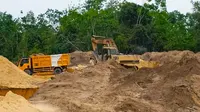 Penambangan ilegal di kawasan hutan produksi yang diungkap Direktorat Reserse Kriminal Khusus Polda Riau. (Liputan6.com/M Syukur)