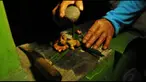 Mengobati batuk secara alami lebih disarankan karena lebih aman tanpa efek samping pada kesehatan dan tidak perlu biaya mahal.