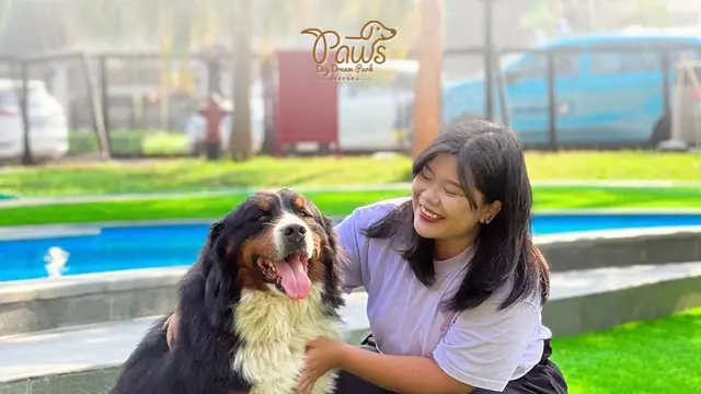 Pengunjung yang Bermain bersama Anjing di Paws Dog Dream Park, Summarecon Mall Serpong