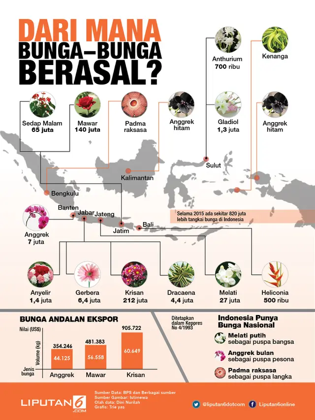 infografis wilayah penghasil bunga