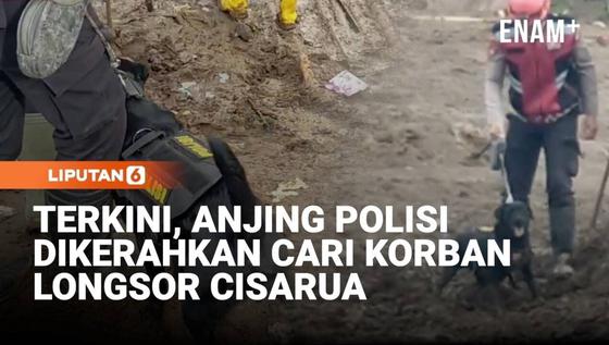 Anjing Polisi Dikerahkan Cari Korban Longsor Cisarua