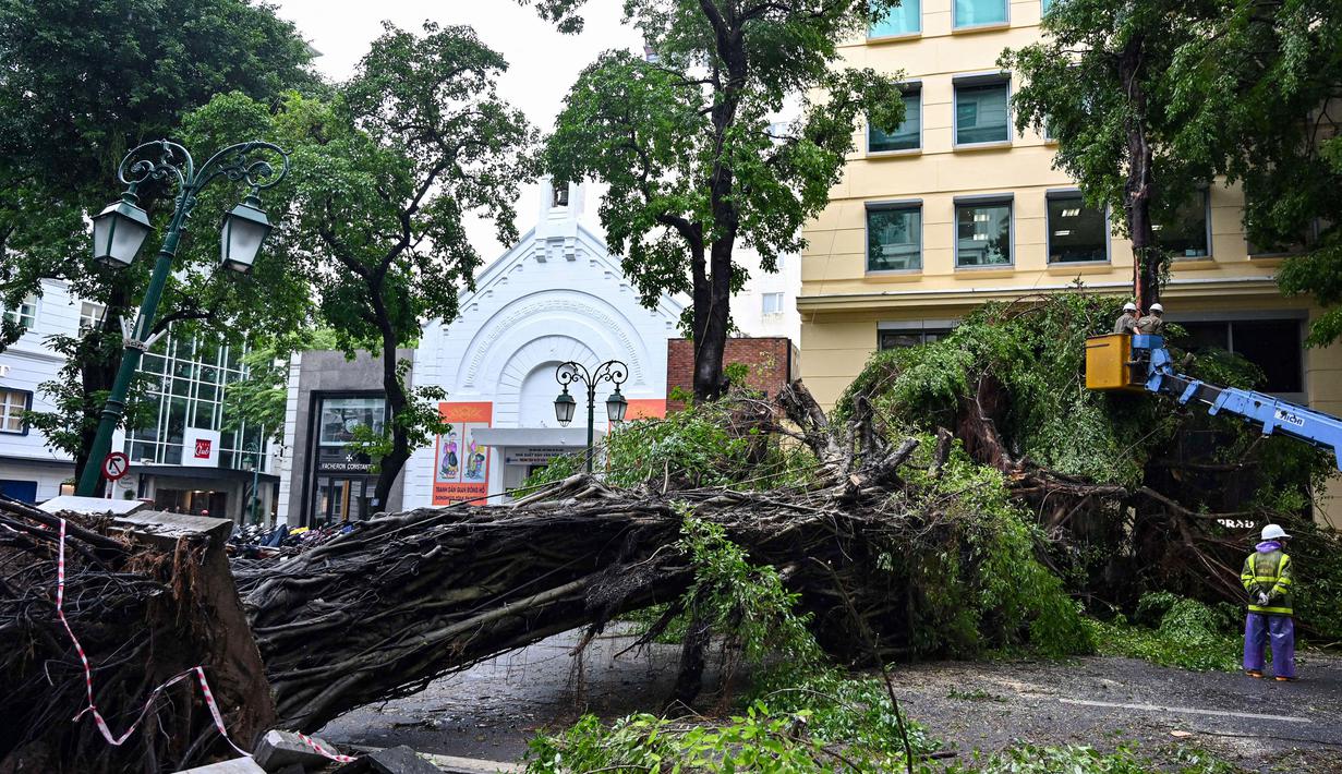 Sejumlah pohon di kota Hanoi tumbang. (Nhac NGUYEN/AFP)
