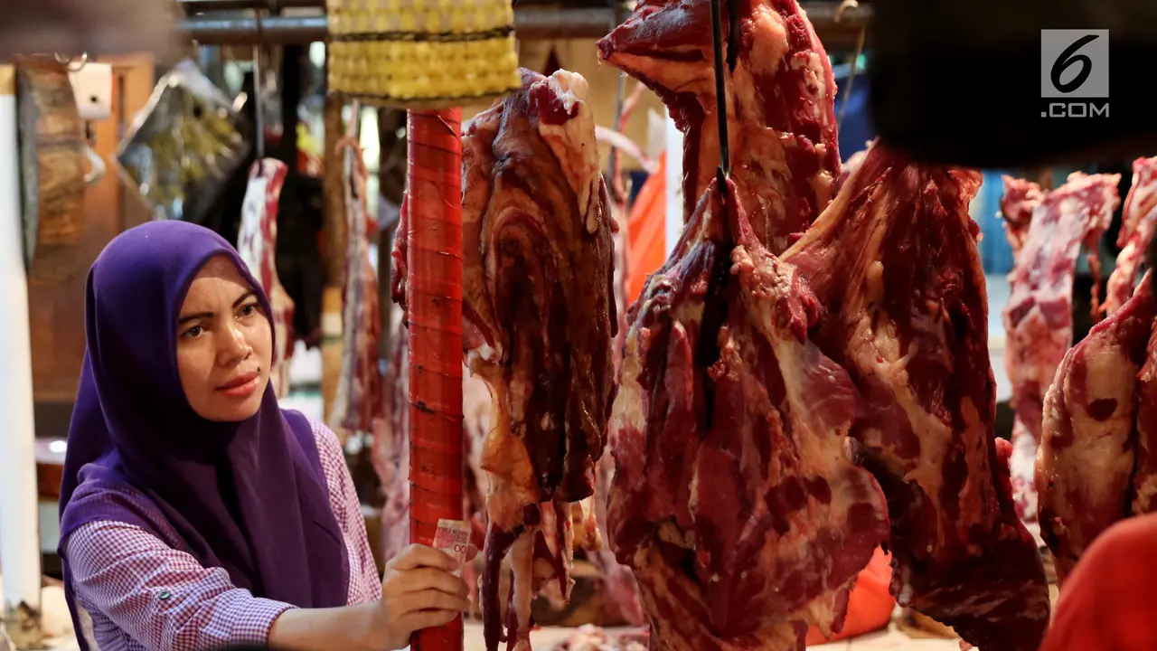 Ilustrasi daging