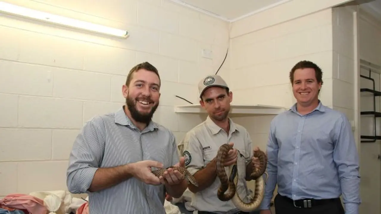 Puluhan satwa langka yang berhasil diamankan polisi akan diserahkan kepada departemen lingkungan Brisbane yang rencananya akan dilepaskan ke habitat asli (Queensland Police Service)