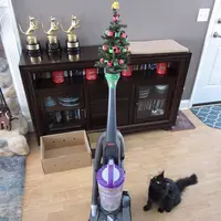 Jangan sampai Natalmu berantakan karena hewan peliharaan. (Via: boredpanda.com)