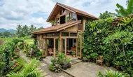 9 Ide Rumah Kampung dengan Bukaan Besar dan Tanaman untuk Kesejukan Alami