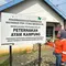 Ayam Alope Berkokok, Nanas Bertumbuh: Cerita Penghidupan Baru Masyarakat Luwu Timur