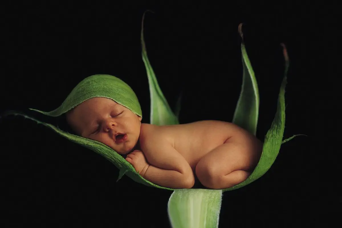 Bayi Jauh Lebih Menggemaskan Saat Tidur, Ini Buktinya