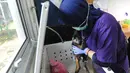 Dokter hewan yang juga aktivis Animal Sanctuary Trust Indonesia (ASTI)  memasukkan Lutung Jawa (Trachypithecus Auratus) ke dalam kotak inkubator di tempat Pusat Transit Satwa Gadog ASTi, Bogor, Senin (11/3). (merdeka.com/arie basuki)