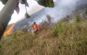 Kemendagri Dalami Celah Aturan Buka Lahan Dibakar