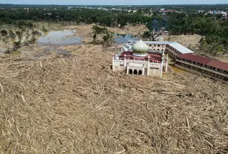 Di Kabupaten Aceh Tamiang, Provinsi Aceh, proses pemulihan berjalan lambat lantaran infrastruktur yang terputus, lumpur yang tak kunjung surut, dan tumpukan kayu sisa material banjir yang menutupi sebagian wilayah tersebut. Tampak dalam foto pemandangan udara menunjukkan sisa-sisa pepohonan yang tumbang di pesantren dan masjid Darul Mukhlisin setelah banjir bandang di Aceh Tamiang, pada Rabu 10 Desember 2025. (Aditya Aji/AFP)
