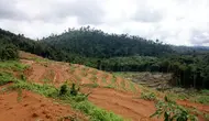 Apa Itu Pembukaan Lahan Tanpa Bakar (PLTB)? Ini Pengertian, Metode, dan Manfaatnya