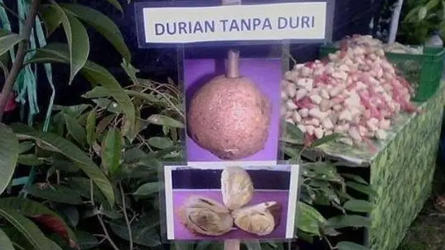 6 Cara Unik Orang Jualan Buah Ini Anti-mainstream, Nyeleneh Banget