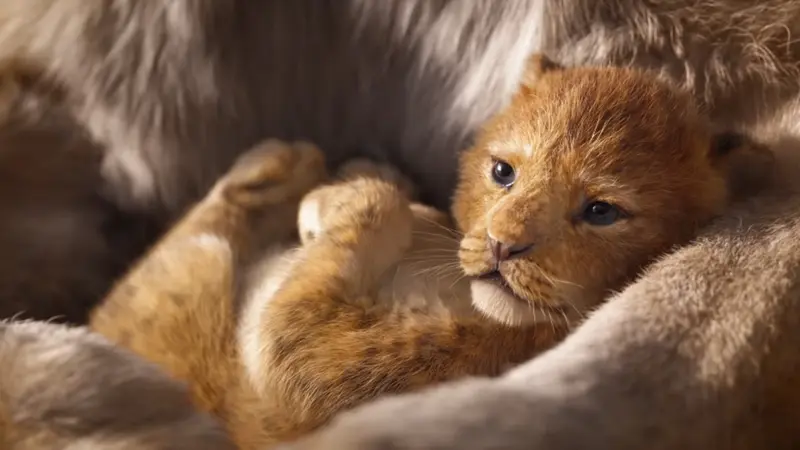 The Lion King (YouTube/  Walt Disney Studios)