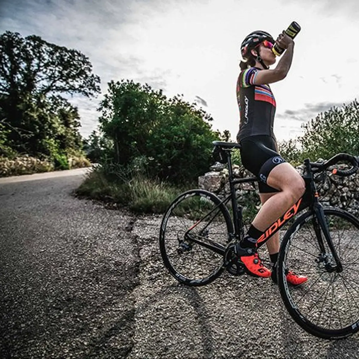 Harga sepeda canyon road bike deals