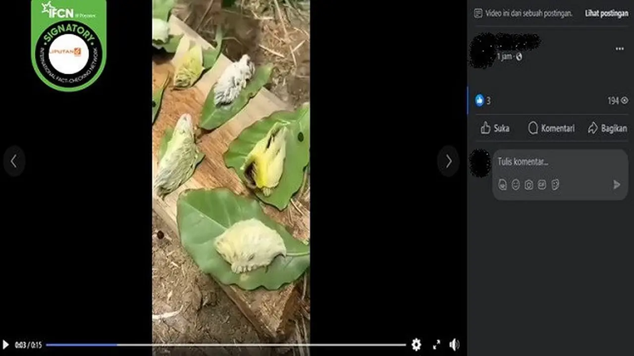 Kabar tentang ulat berbulu yang diklaim sangat berbisa dan membunuh 16 anak-anak. (sumber: Facebook)