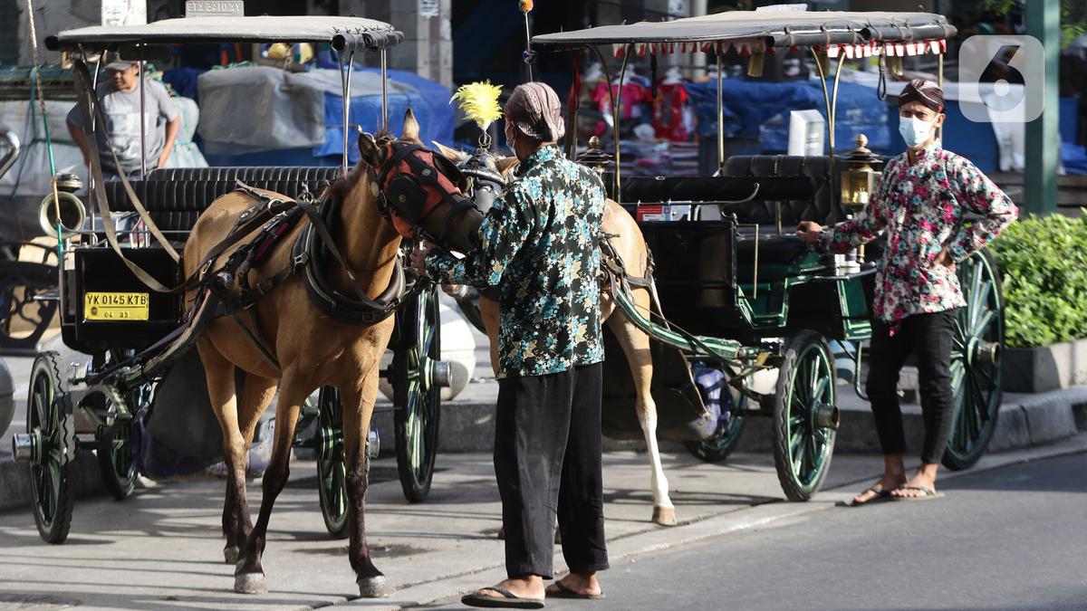 Cegah Bau Pesing, Kuda Andong di Kawasan Malioboro Bakal Dipakaikan Popok?
