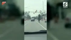 Seorang polisi berkuda mampu menghentikan mobil  yang melanggar lalu linta akibat ngebut.