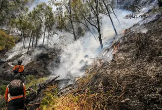 Petugas berupaya memadamkan kebakaran hutan di kawasan Taman Nasional Bromo Tengger Semeru (TNBTS), Kabupaten Probolinggo, Jawa Timur, Kamis (6/8/2026). (AFP/ Juni Kriswanto)