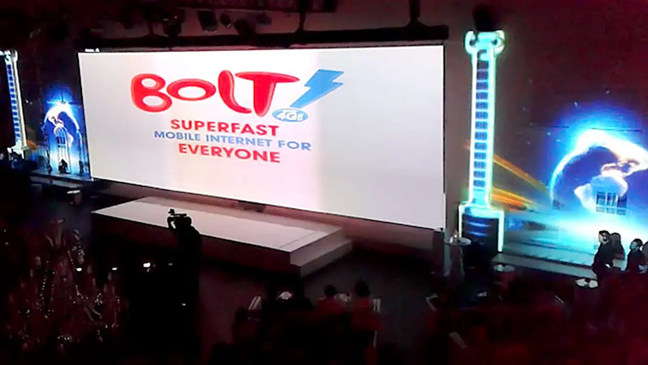 bolet-140120b.jpg