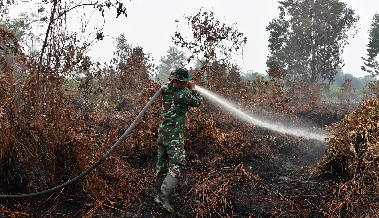 Prajurit TNI berusaha memadamkan kebakaran hutan dan lahan di Kabupaten Kampar, Provinsi Riau (12/9/2019). Kebakaran hutan yang terjadi membuat kekhawatiran tentang dampak meningkatnya wabah api di seluruh dunia pada pemanasan global. (AFP Photo/Adek Berry)