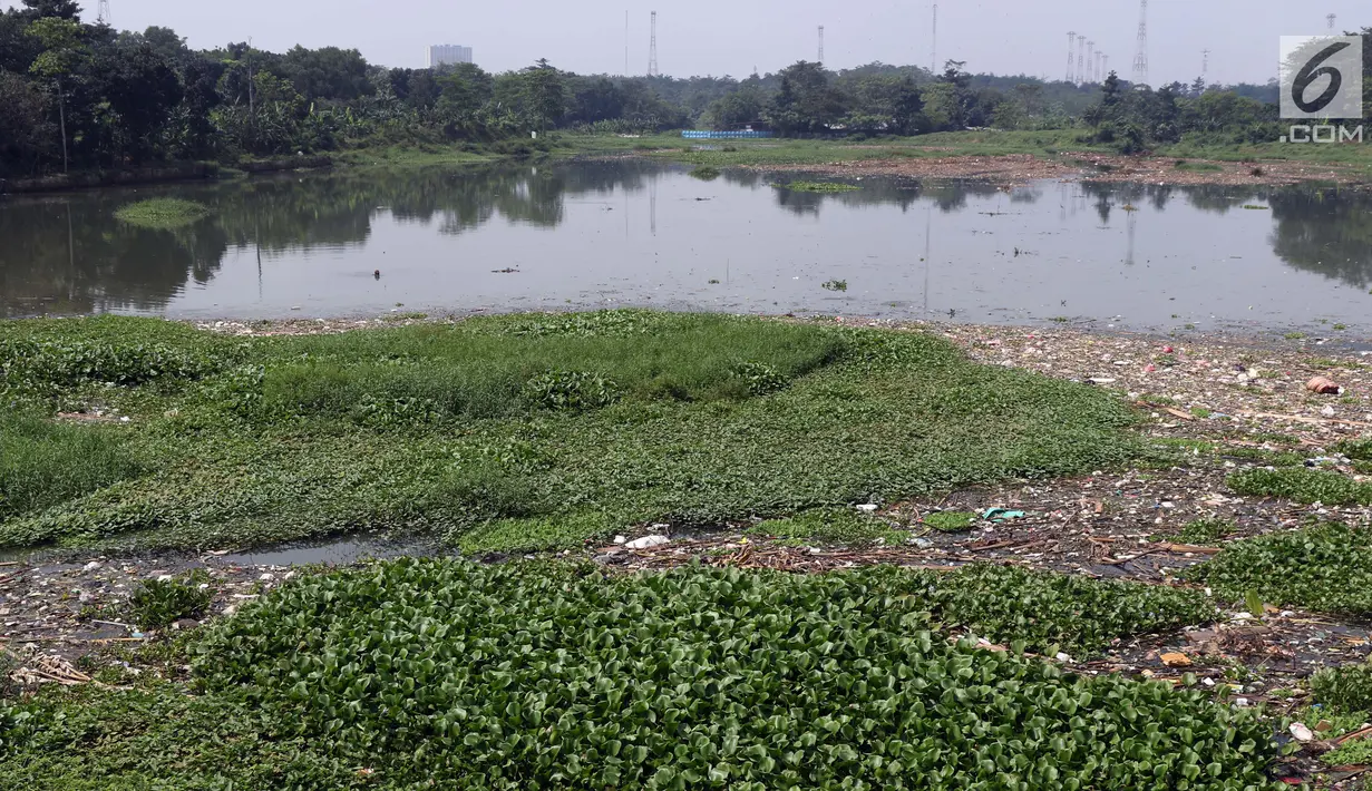 Kondisi Situ Pengarengan, Kota Depok, Jawa Barat, Kamis (18/4). Tumpukan sampah dan tanaman eceng gondok terlihat menumpuk menutupi permukan air Situ Pengarengan. (Liputan6.com/Helmi Fithriansyah)