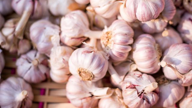 Mengusir nyamuk dengan bawang putih