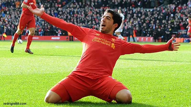 suarez-130818c.jpg