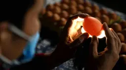 Perajin Zhang Xiaohe memilih telur di sebuah lokakarya warisan budaya takbenda di Shijiangzhuang, China, pada 17 April 2020. Ukiran telur sering disebut "seni yang paling rapuh", karena membutuhkan ketelitian dan perhatian tinggi sebelum, selama dan setelah pembuatannya. (Xinhua/Chen Qibao)