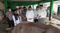 Gubernur Kepulauan Riau H. Ansar Ahmad menyerahkan langsung dua ekor sapi kurban dari Presiden RI Joko Widodo ke Bupati Kabupaten Kepulauan Anambas Abdul Haris.