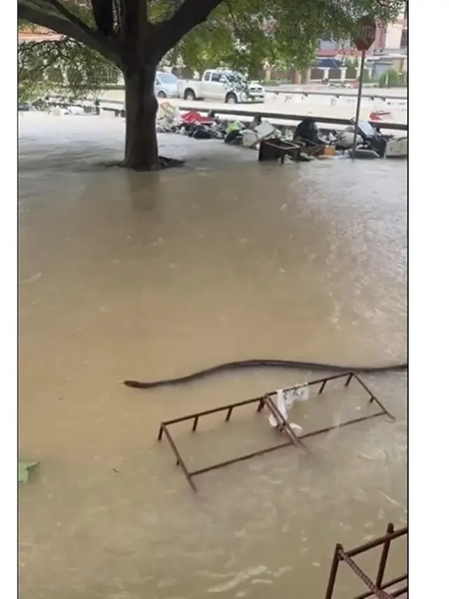 Momen Mendebarkan Ibu Digigit Ular saat Banjir, Menunggu Evakuasi 32 Jam