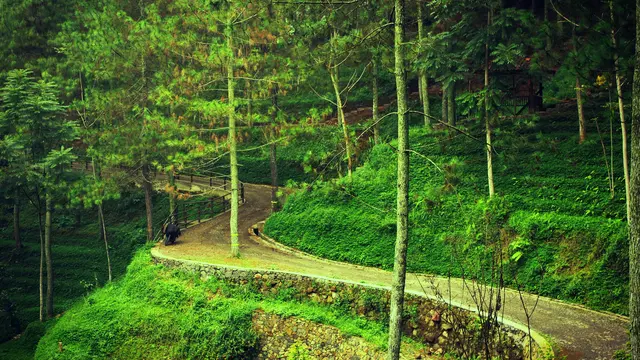 Dago Dreampark