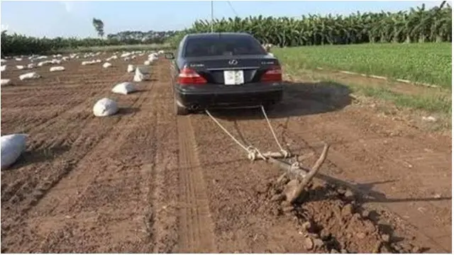 6 Kelakuan Nyeleneh saat di Sawah Ini Bikin Geleng Kepala