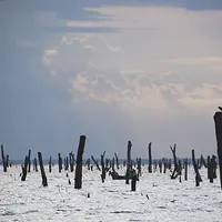 Danau Volta, Ghana. (public-prod-acquia.gsb.stanford.edu)