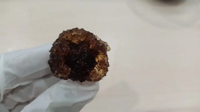 sampel