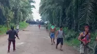 Tangkapan dari salah satu video yang memperlihatkan situasi di PT Bangun Jaya Alam Permai di Kabupaten Seruya.