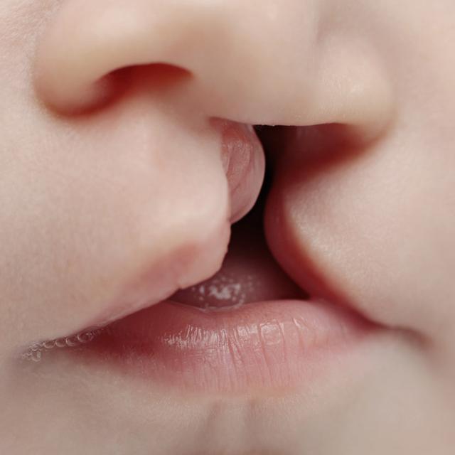 25 Gambar Kartun Bayi Dalam Kandungan Kumpulan Gambar Kartun