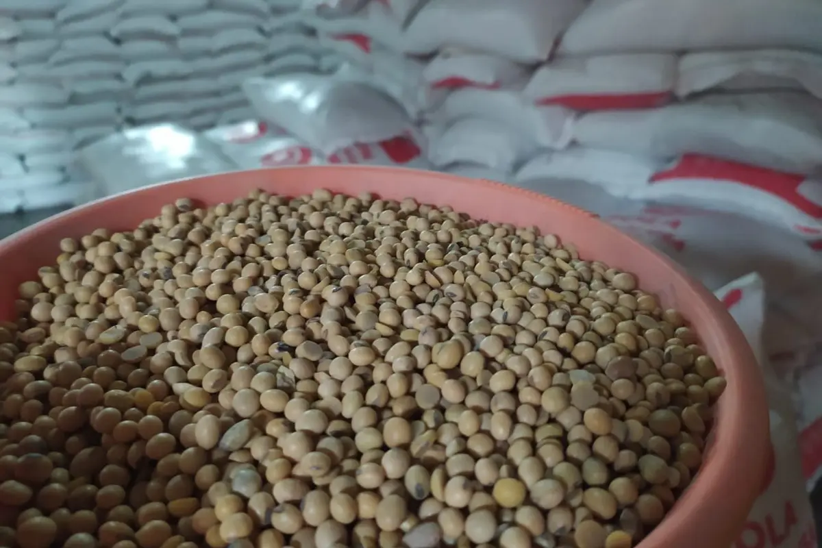 Harga kacang kedelain terus menunjukan kenaikan, seiring dengan menipisnya cadangan kedelai dalam negeri di tengah belum masuknya pasokan kedelain impor dari Amerika Serikat.