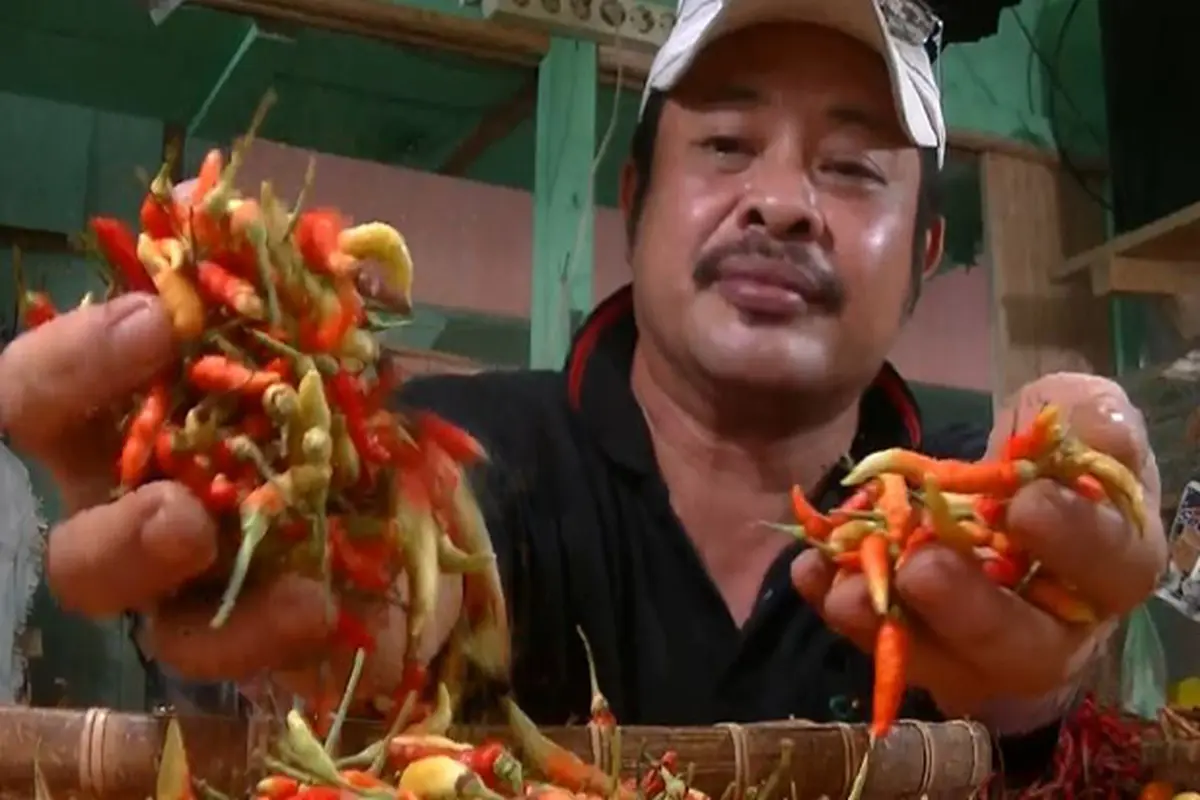 Pedagang Cabai Rawit 