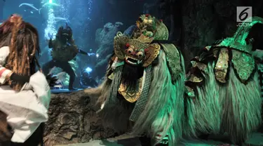 Pertunjukan kesenian khas Bali bertajuk "Barongan, An Epic Underwater Show" di akuarium utama Sea World Ancol, Jakarta, Senin (4/3). Pertunjukan itu dalam rangka memperingati Tahun Baru Saka atau dikenal dengan Hari Raya Nyepi. (merdeka.com/Iqbal Nugroho)