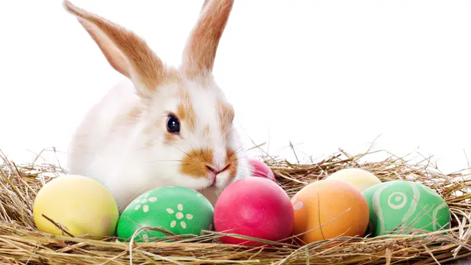 Jelang Paskah, Yuk Dekor Rumahmu dengan 6 Hiasan di Jumat Agung